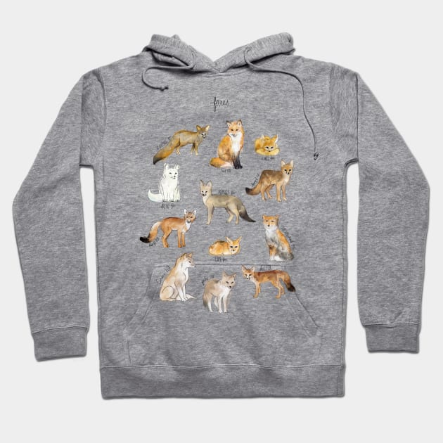 Foxes Hoodie by Amy Hamilton